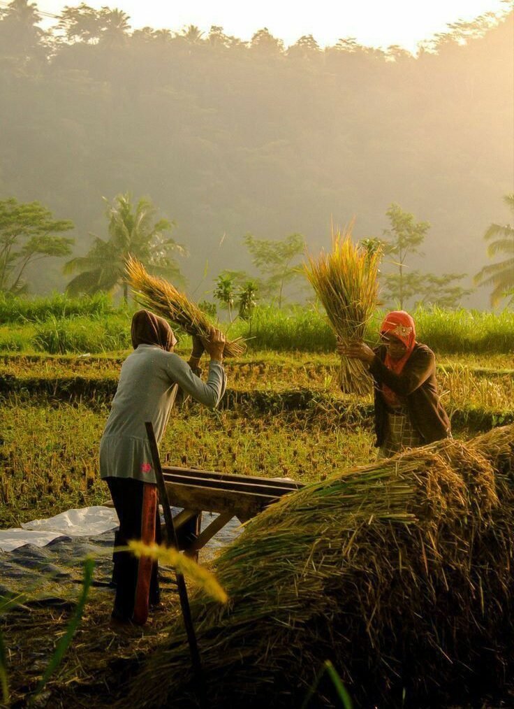 e8c7d6bd 5642 459b 8f16 8d2c9a0d57b7 e1746791090559